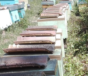Portasciami in apiario